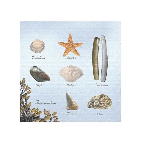 Strand servetten 33x33cm