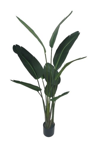 Strelitzia 150cm kunstplant