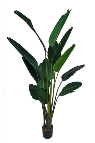 Strelitzia 180cm kunstplant