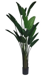 Strelitzia 245cm kunstplant