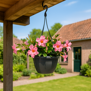 Sundaville in hangpot - afbeelding 2