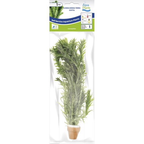 SuperFish Aquaplant Elodea Densa Terra Cotta