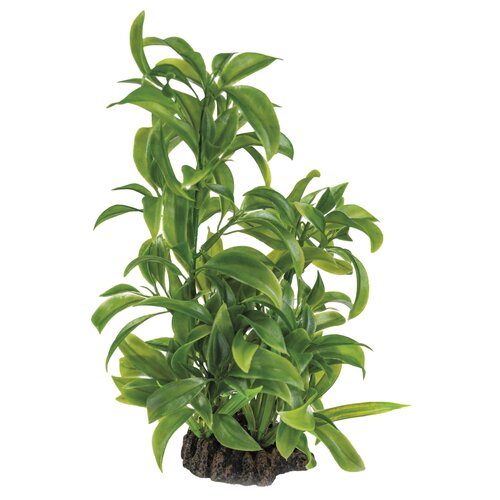 SuperFish Art Plant 25 cm Dracaena