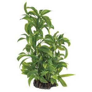 SuperFish Art Plant 25 cm Dracaena