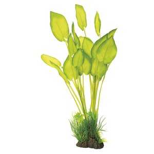SuperFish Art Plant 40 cm Echinodorus