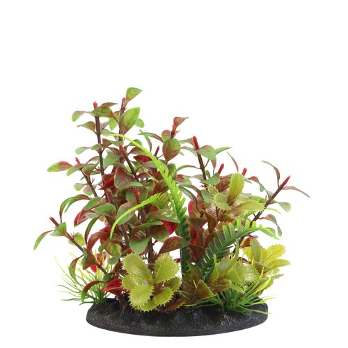 SuperFish Deco Plant S Nr 2