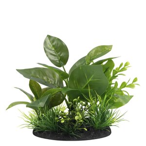 SuperFish Deco Plant S Nr 5