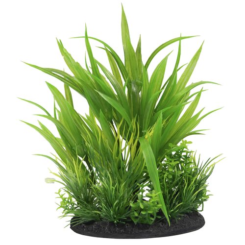 SuperFish Deco Plant S Nr 6