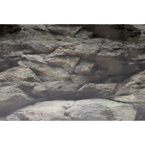 SuperFish Deco Poster B2 60x49 cm