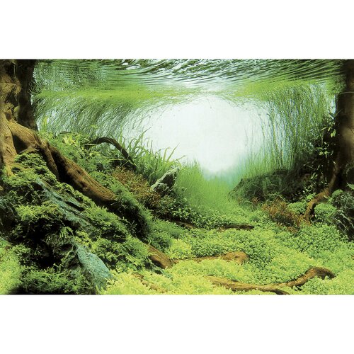 SuperFish Deco Poster C6 150x61 cm