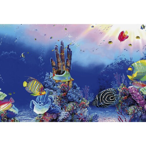 SuperFish Deco Poster F1 60x30 cm
