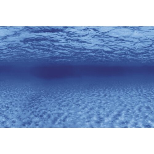 SuperFish Deco Poster F5 120x61 cm
