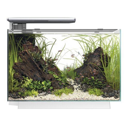 SuperFish Quadro 70 Pro Wit