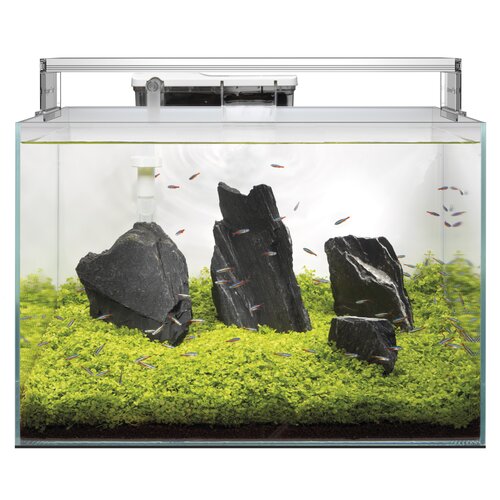 SuperFish Scaper 60