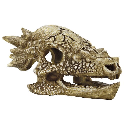 SuperFish Skull T-Rex – Medium