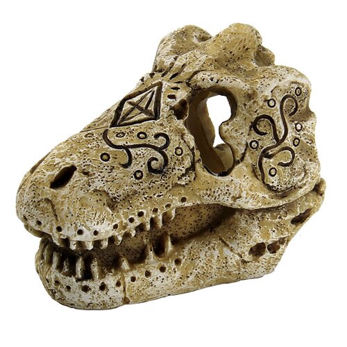 SuperFish Skull T-Rex – Small