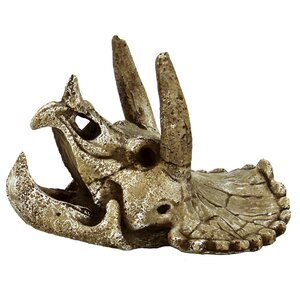SuperFish Skull Triceratops – Medium