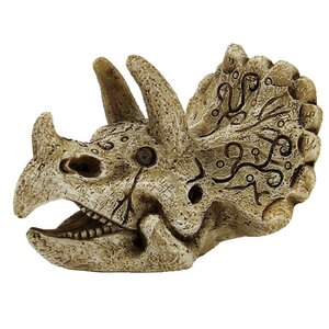 SuperFish Skull Triceratops – Small