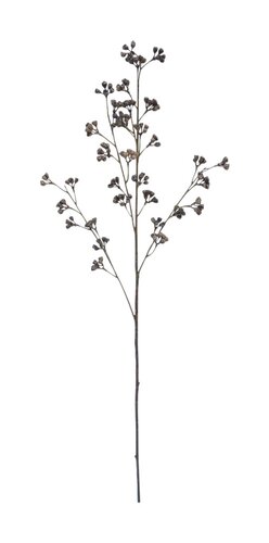 Szechuanpeper 77 cm