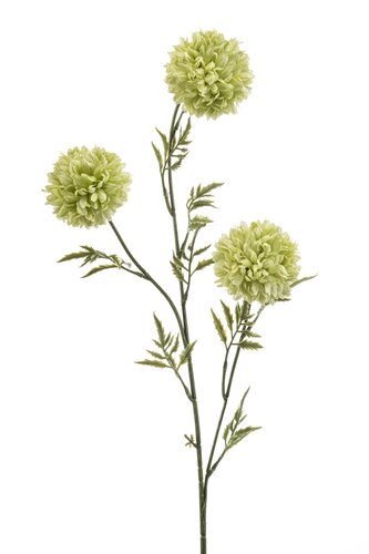 Tagetes Tak Zijde - 80cm Groen