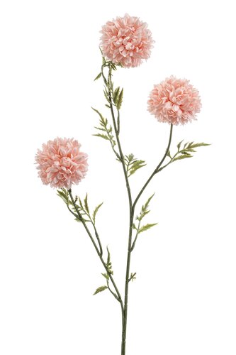 Tagetes Tak Zijde - 80cm Perzik