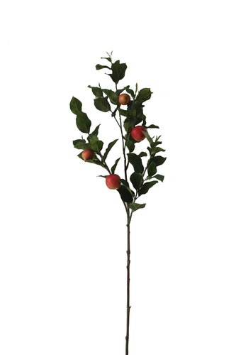 Tak appel 104cm