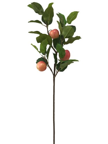 Tak appel 92cm