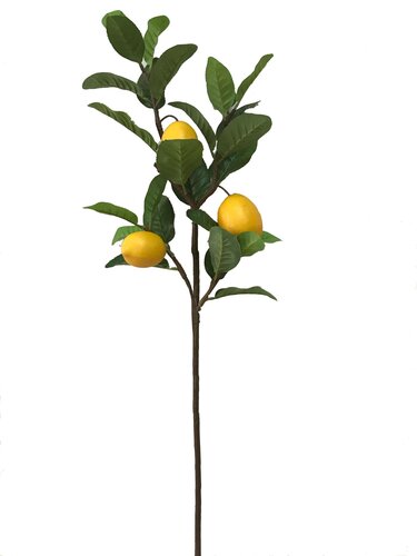 Tak citroen 92 cm