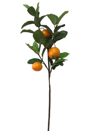 Tak sinaasappel 92cm