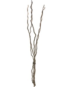 Takkenbundel 5 stuks L 130 cm champagne glitter