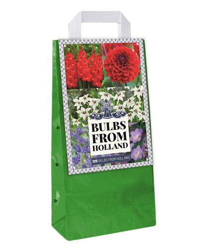 TAS / BAG 125 BULBS FROM HOLLAND