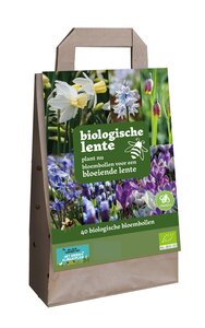 Tas bollen biologische lente 40st