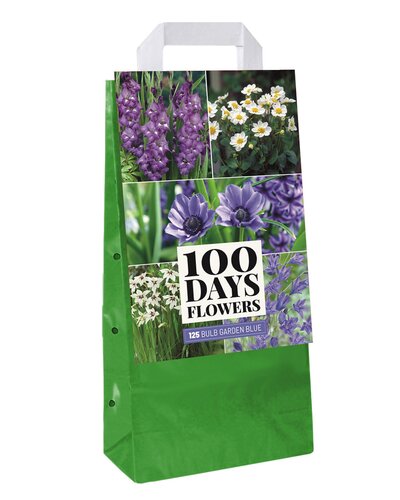 Tas bulb garden blue 125st