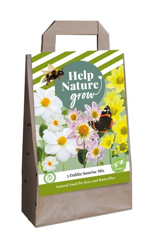 Tas dahlia sunrise mix - hng 5st