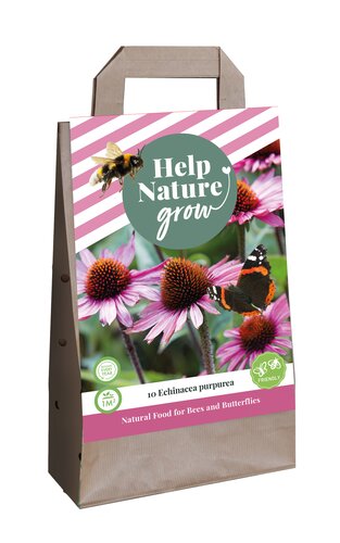 Tas echinacea purpurea - hng 10st