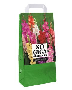 Tas gladiolus mix 80st