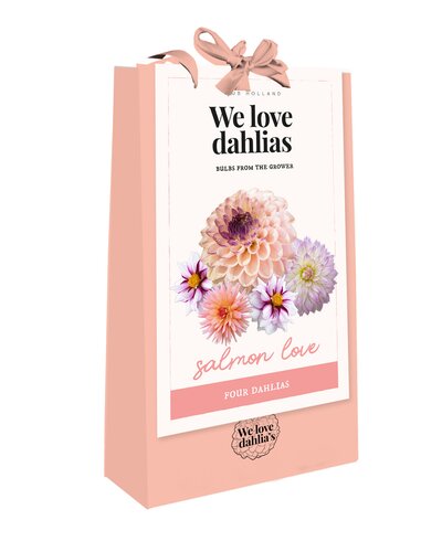 Tas 'we love dahlias' salmon love 4st
