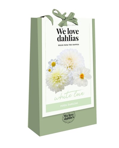 Tas 'we love dahlias' white love 4st