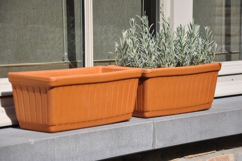 Terracotta balkonbak venezia 53cm - afbeelding 2