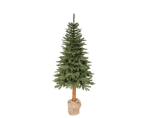 Tiaga fir op stam - 513 tips - D 85 x H 180 cm