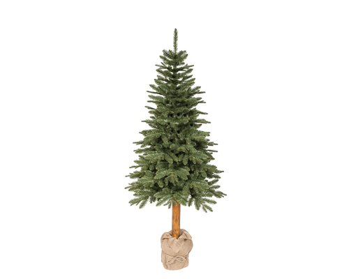 Tiaga fir op stam - 723 tip - D 98 x H 210 cm
