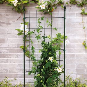 Trellis L incl. 4 muurbevestingen 72 x 150 cm - afbeelding 2