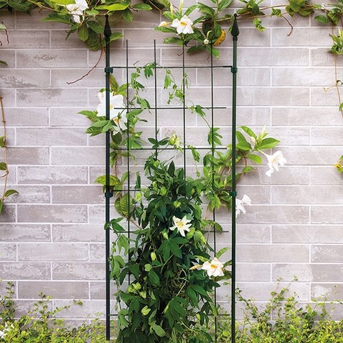 Trellis S incl. 4 muurbevestingen 48 x 150 cm - afbeelding 2