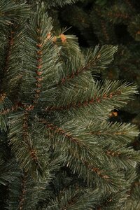 Triumph Tree Kunstkerstboom Forest Frosted newgrowth blauw - H 120 x Ø 99 cm - afbeelding 3