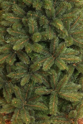 Triumph Tree Kunstkerstboom Forest Frosted slim groen - H 185 x Ø 102 cm - afbeelding 2