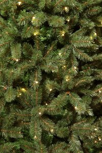 Triumph Tree Kunstkerstboom Forest Frosted slim groen - incl. 256 lampjes - H 215 x Ø 117 cm - afbeelding 2