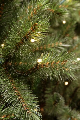 Triumph Tree Kunstkerstboom Forest Frosted slim groen - incl. 88 lampjes - H 120 x Ø 69 cm - afbeelding 3