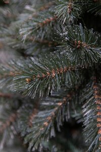 Triumph Tree Kunstkerstboom Forest Frosted slim newgrowth blauw - H 215 x Ø 117 cm - afbeelding 3