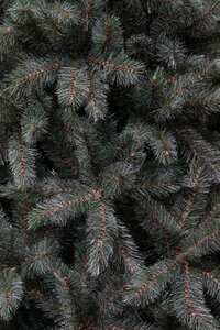 Triumph Tree Kunstkerstboom Forest Frosted slim newgrowth blauw - H 260 x Ø 140 cm - afbeelding 2