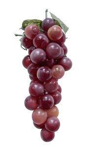 Tros druiven rood